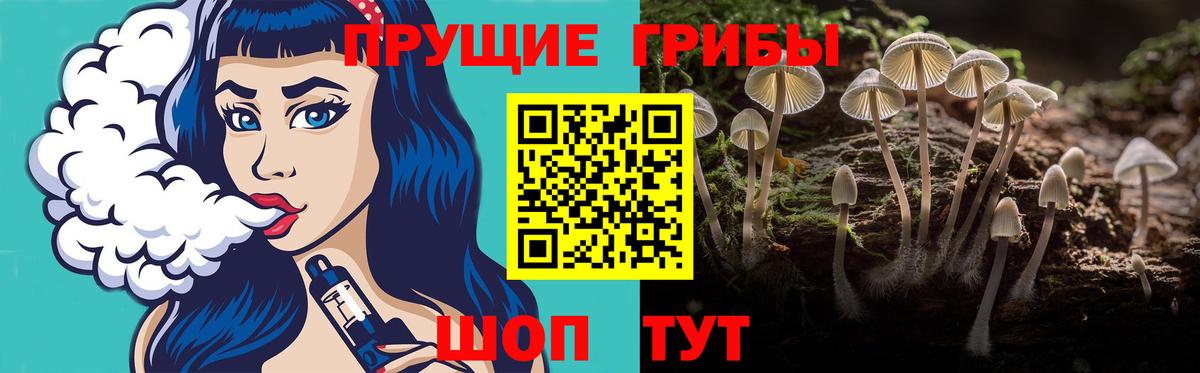 Псилоцибиновые грибы Psilocybe  Вход с VPN  Омск 